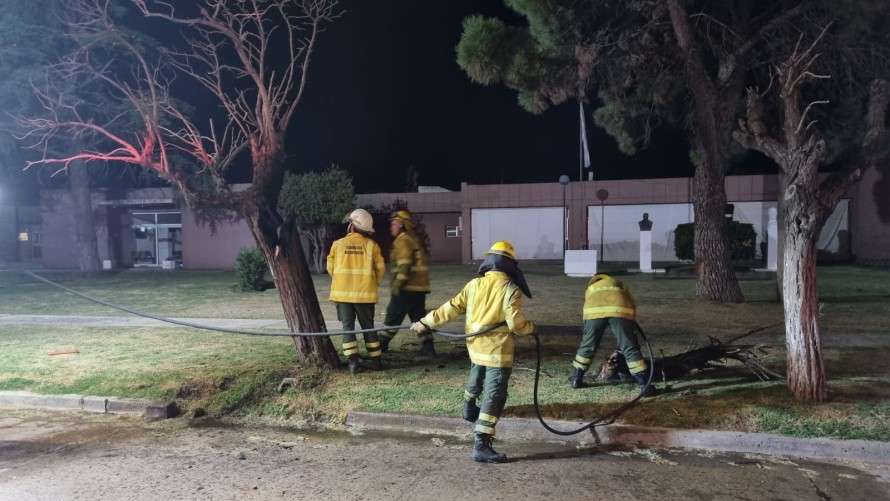 Incendiaron en forma intencional un árbol en la vereda del hospital