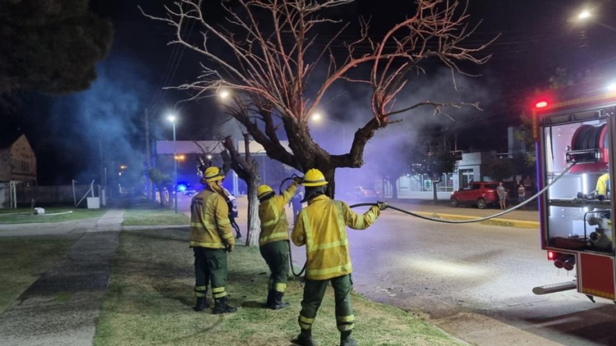 Incendiaron en forma intencional un árbol en la vereda del hospital