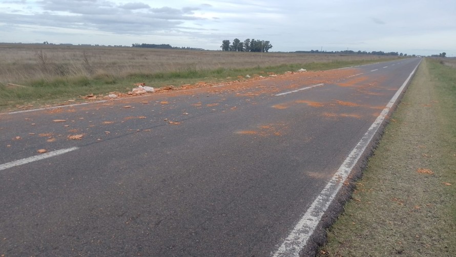 Un camión que circulaba por Ruta 226 perdió parte de la carga de ladrillos