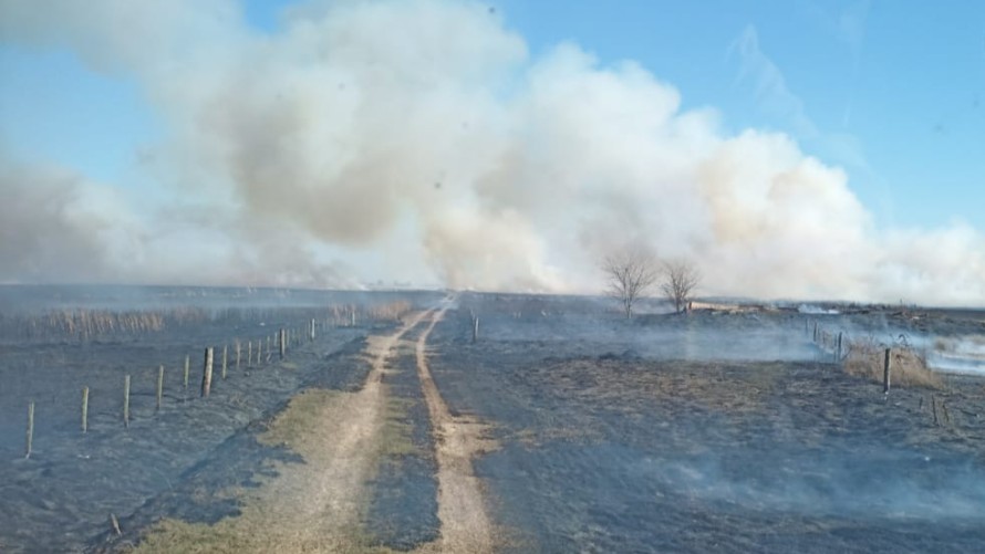 Se quemaron más de 300 hectáreas de campo en voraz incendio forestal