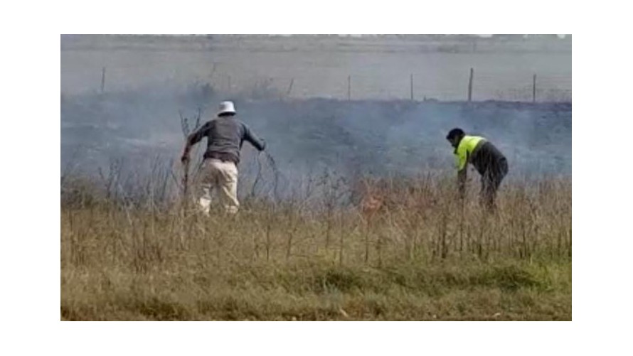 Ardieron pastizales en la banquina de la ruta 226