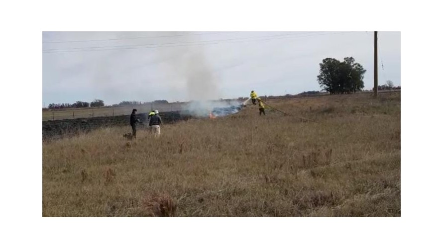 Ardieron pastizales en la banquina de la ruta 226