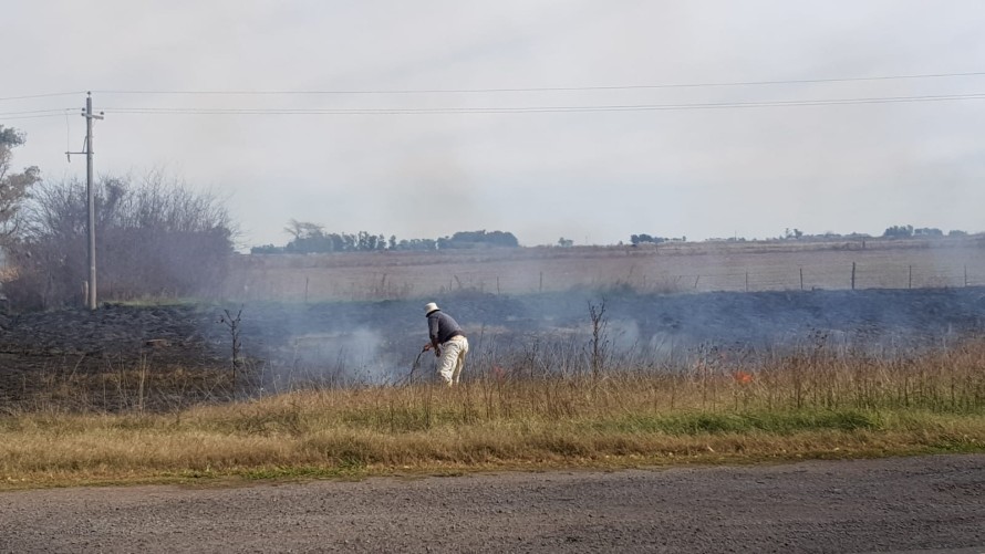 Ardieron pastizales en la banquina de la ruta 226