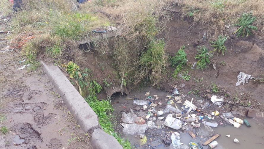 Bomberos rescataron a un gato que estaba atrapado en una alcantarilla