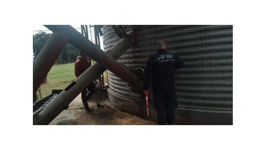 La AFIP incautó 42 toneladas de soja en un establecimiento agropecuario de Bolívar