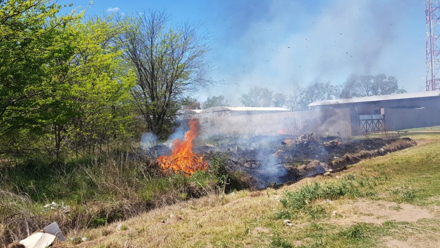 Ardió un cañaveral y hubo riesgo de un incendio mayor