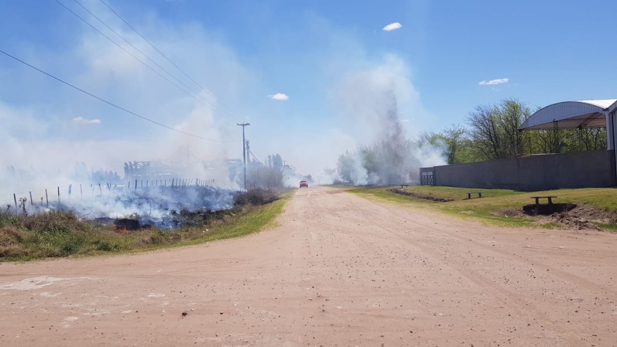 Ardió un cañaveral y hubo riesgo de un incendio mayor