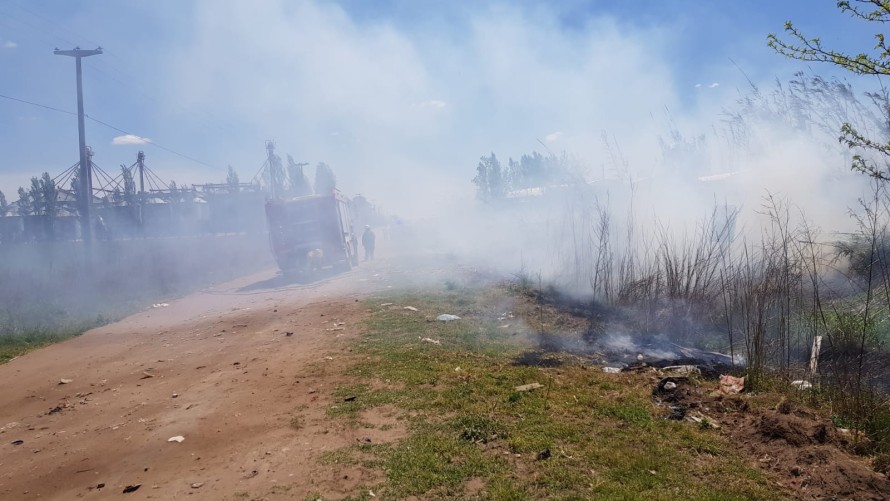 Ardió un cañaveral y hubo riesgo de un incendio mayor