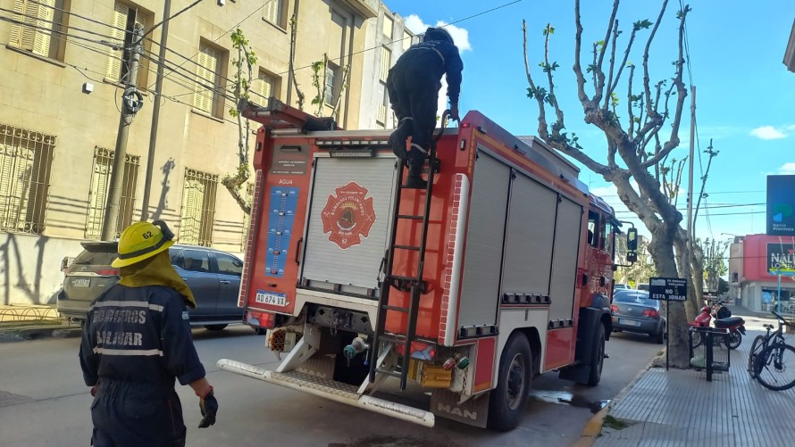 Bomberos Voluntarios de Bolívar y el singular rescate de una paloma