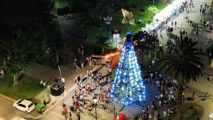 Emplazarán el Árbol Gigante de Navidad en el Centro Cívico