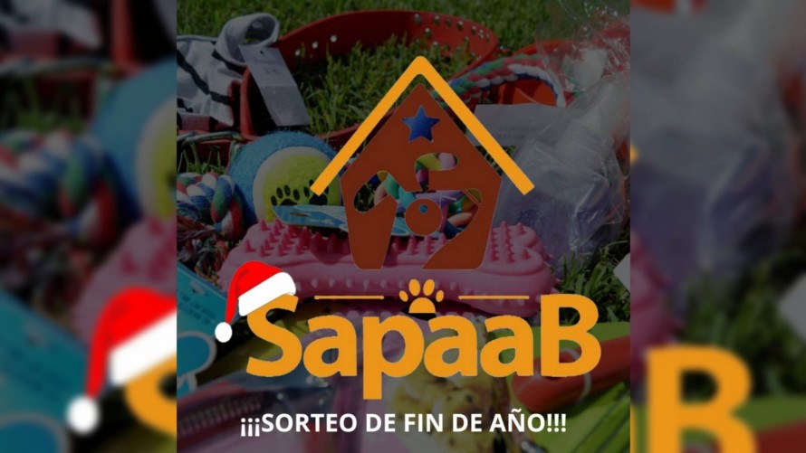 Sapaab lanzó un sorteo de Fin de Año