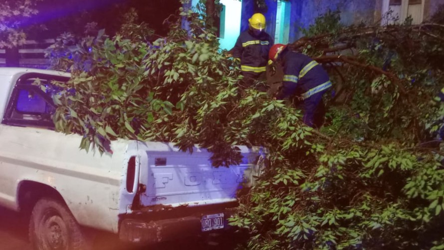 Temporal del sábado: Bomberos brindó detalles de las múltiples salidas