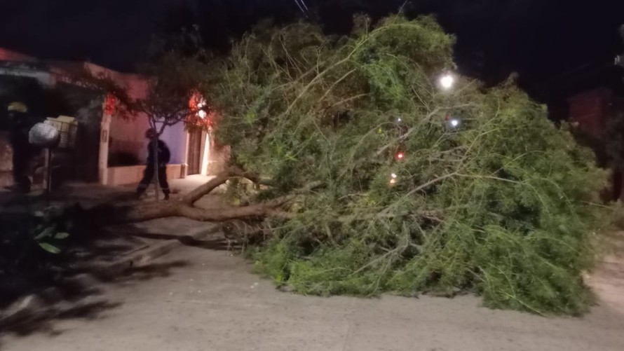 Temporal del sábado: Bomberos brindó detalles de las múltiples salidas