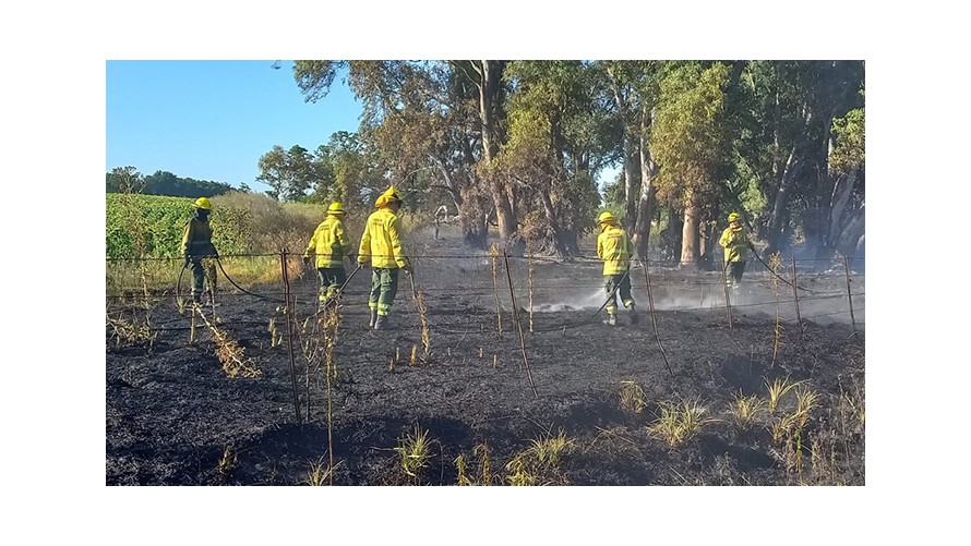 Tres dotaciones de bomberos combaten un incendio de pastizales en zona rural