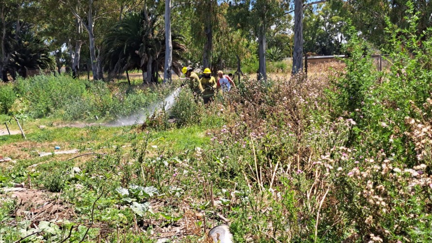 Apagaron rápidamente un principio de incendio forestal