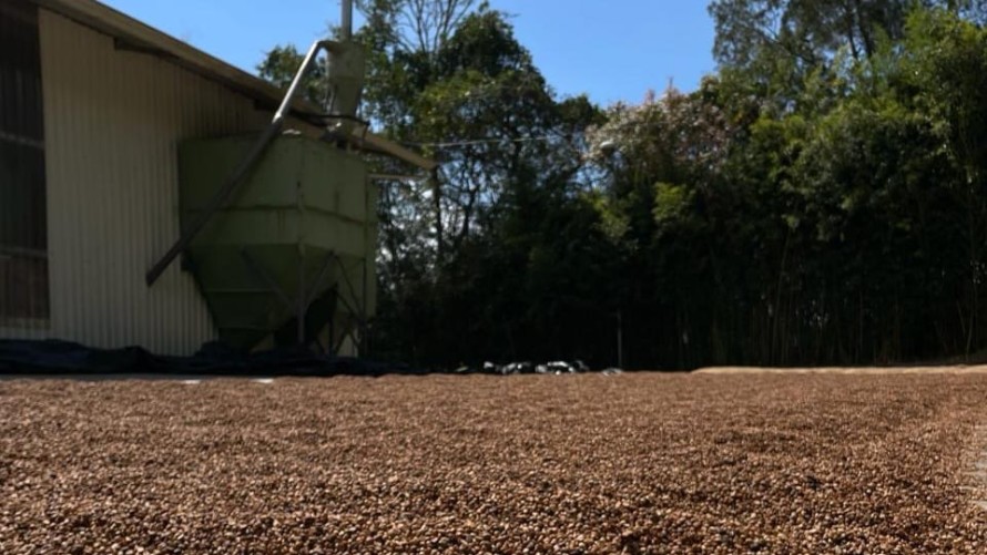 Dos bolivarenses representarán a Argentina en un evento mundial de productores y tostadores de café