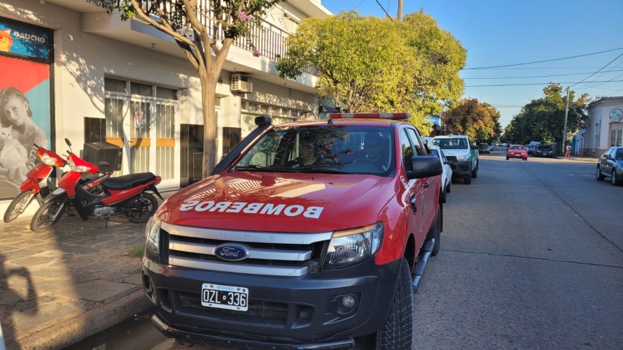 Un gato se metió en una heladería y tuvo que ser ahuyentado por los bomberos