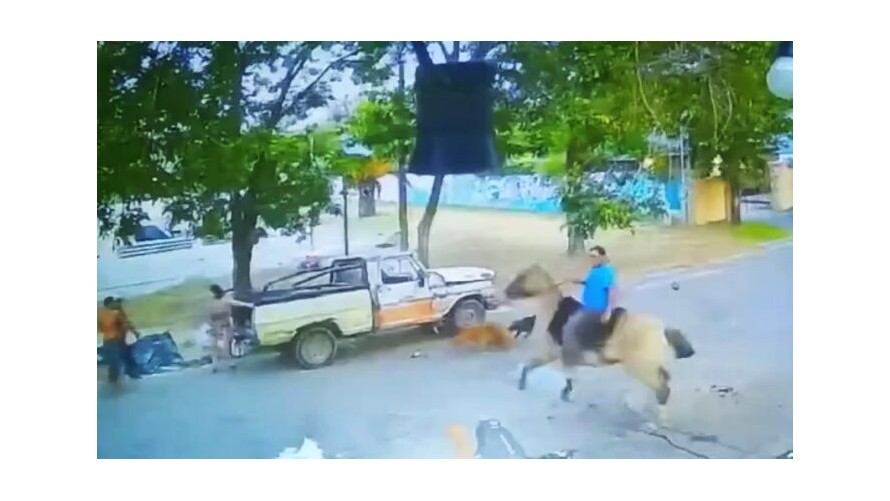 Piñas, botellazos, caballos y rebenques en una pelea entre vecinos en Trenque Lauquen