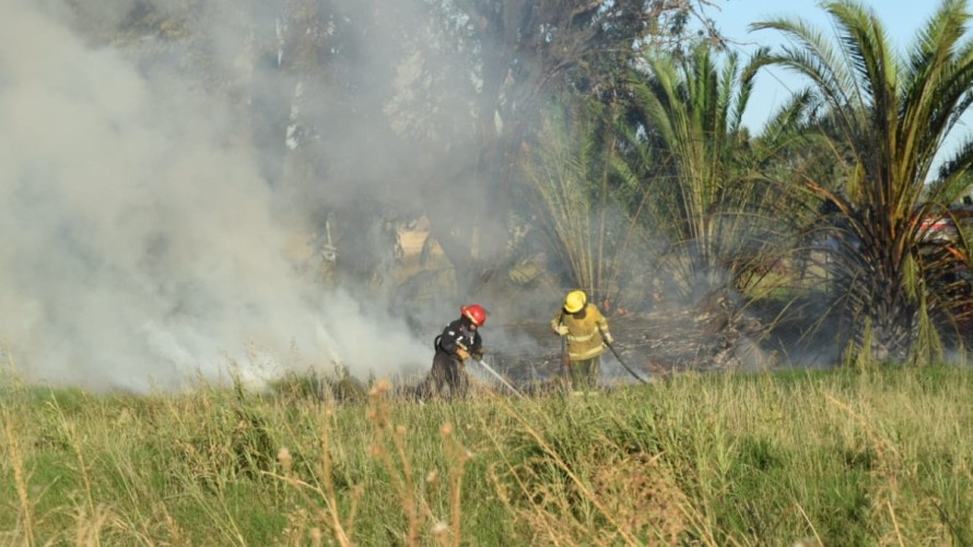 Extinguieron un incendio forestal en el Parque Industrial