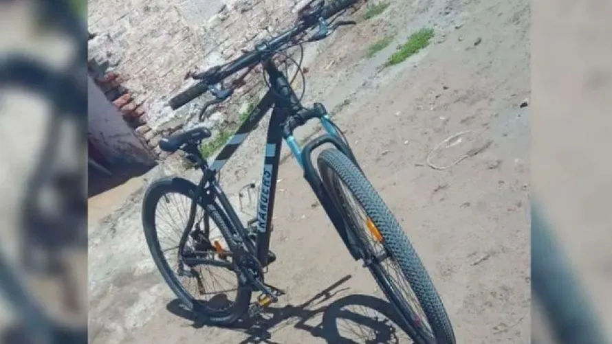 Sufrió el robo de su bicicleta en el barrio Los Zorzales y busca recuperarla