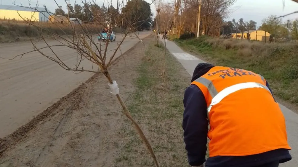 Repudio por actos de vandalismo en el "Boulevard de las Infancias" y en el parque "Las Acollaradas"