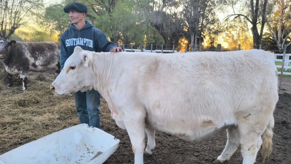 Gran Campeona Hembra del Nacional de Otoño.