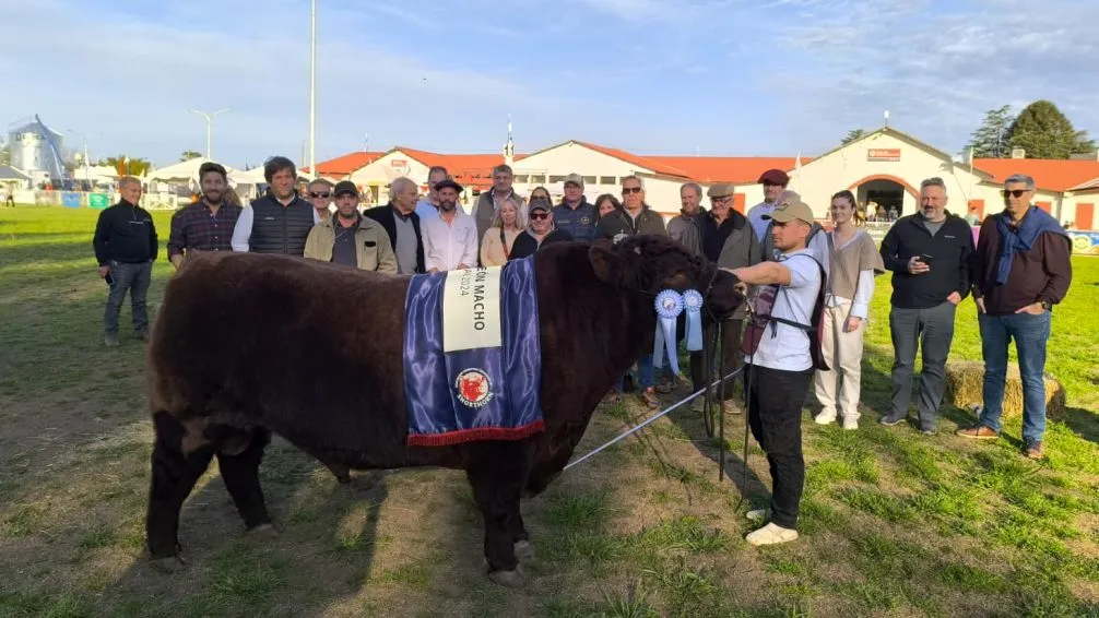 Shorthorn tuvo sus grandes campeones en la 95ª Expo Rural