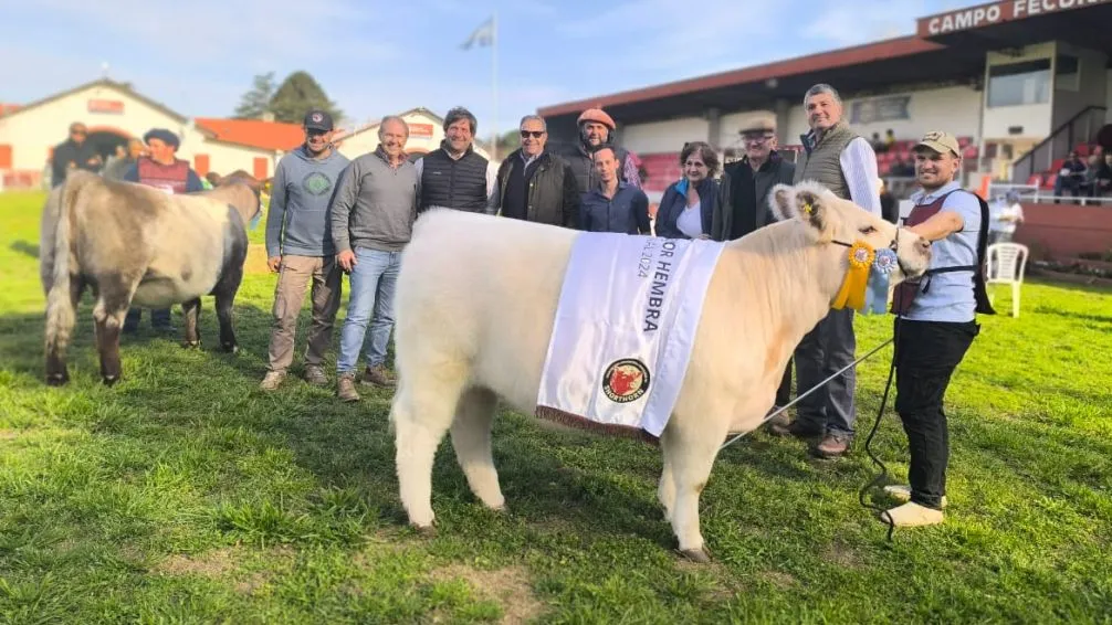 Shorthorn tuvo sus grandes campeones en la 95ª Expo Rural