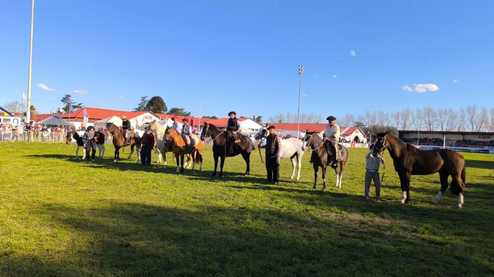 Los caballos de trabajo dieron buen espectáculo en la pista central