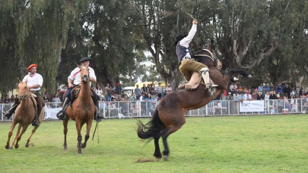 Gran jineteada este domingo en la Expo Rural