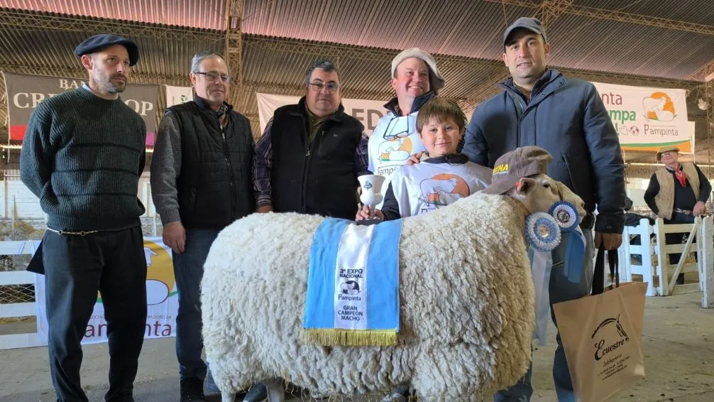 El Gran Campeón macho Pampinta encabezó el remate de ovinos