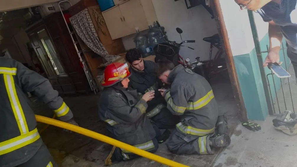 En medio de un incendio, bomberos salvaron la vida de gatitos recién nacidos 