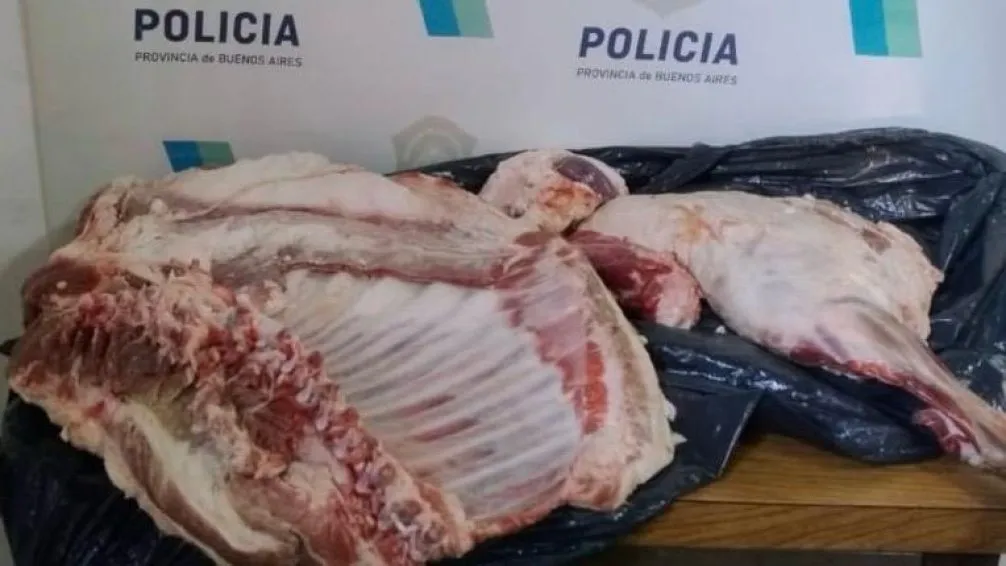 Los delincuentes se llevaron dos borregos faenados que la víctima tenía para comercializar.