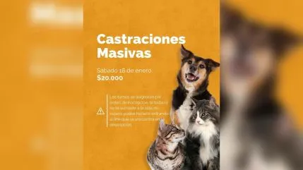 Primera jornada de castraciones masivas del 2025